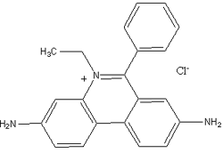 Homidium Chloride